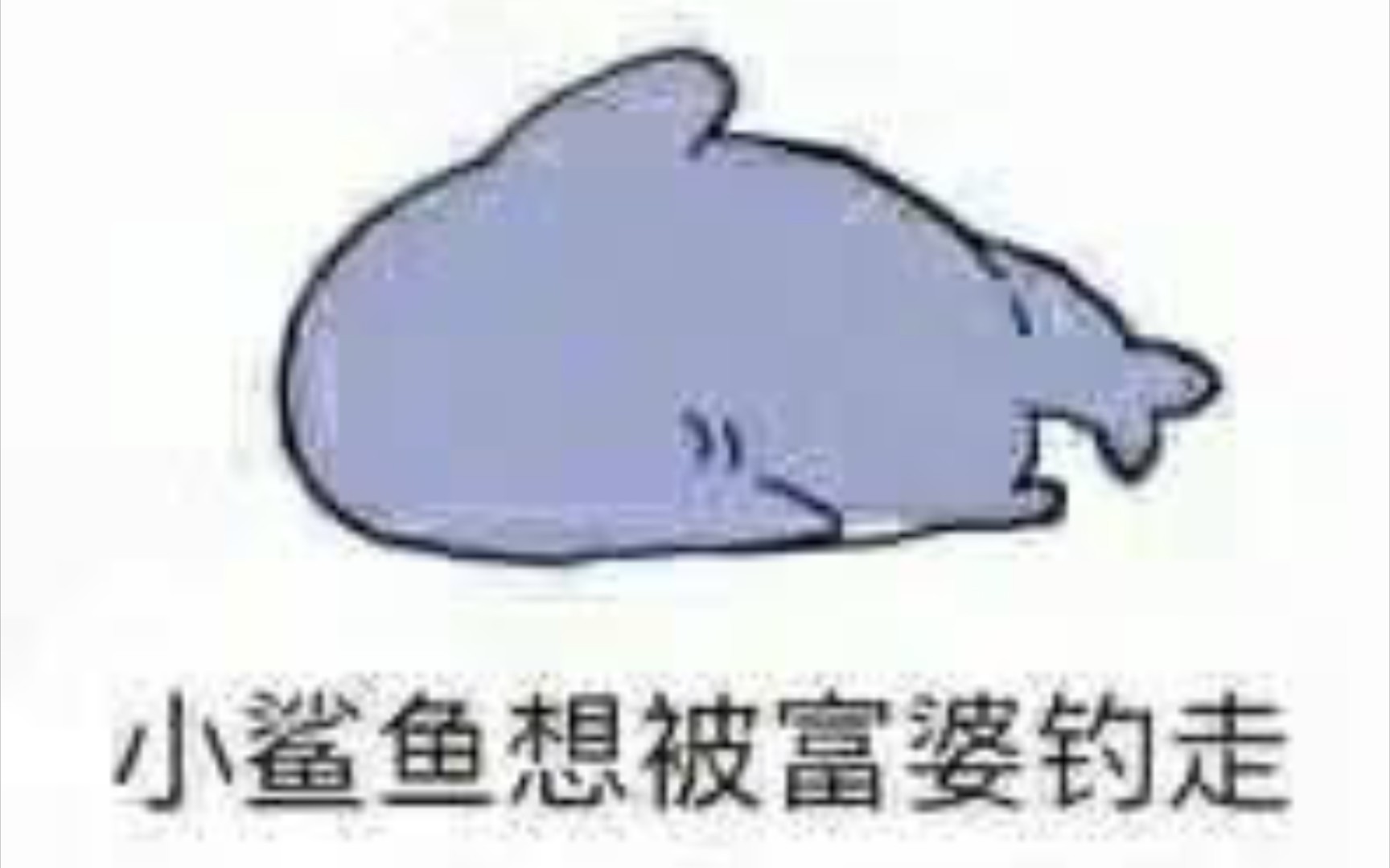 【日常系】 表情包 小鲨鱼不想努力了