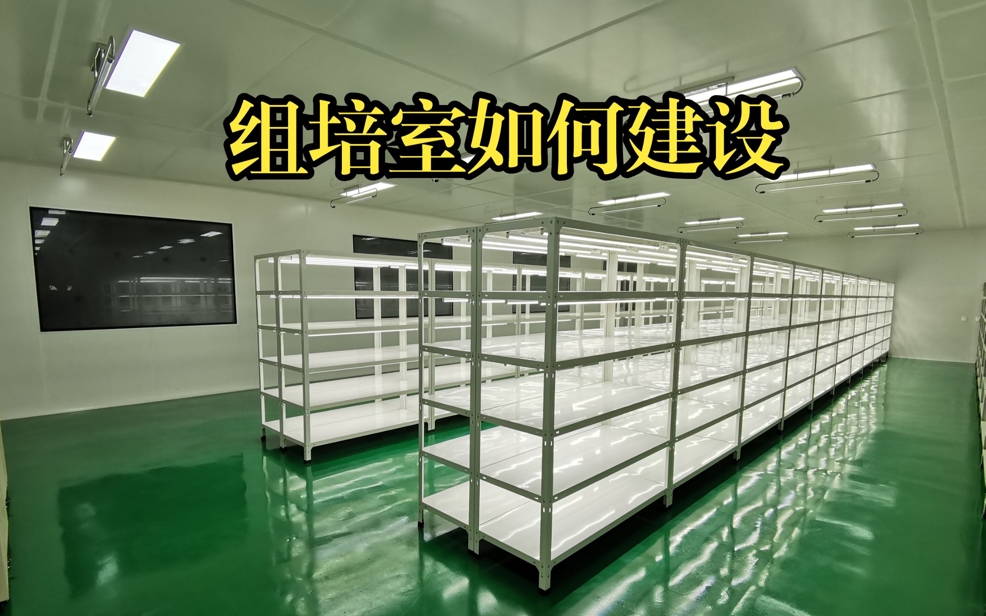 组培室净化设计 培养架定做 恒温恒湿新风净化 组培室建设 组培架 组培仪器清单 组培设备价格单哔哩哔哩bilibili