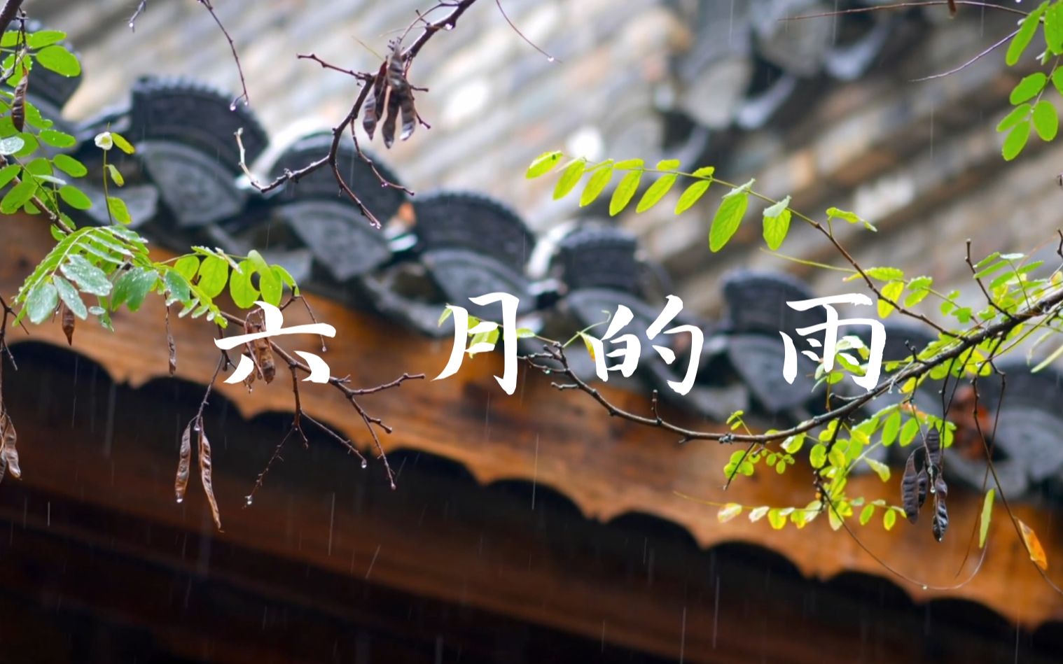 [图]六月你好｜御姐翻唱 -《六月的雨》，愿早日雨过天晴~