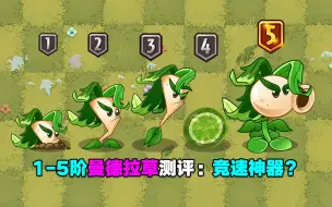 Download Video: 1-5阶曼德拉草测评：秒杀10阶中小型僵尸？荸荠上位植物？