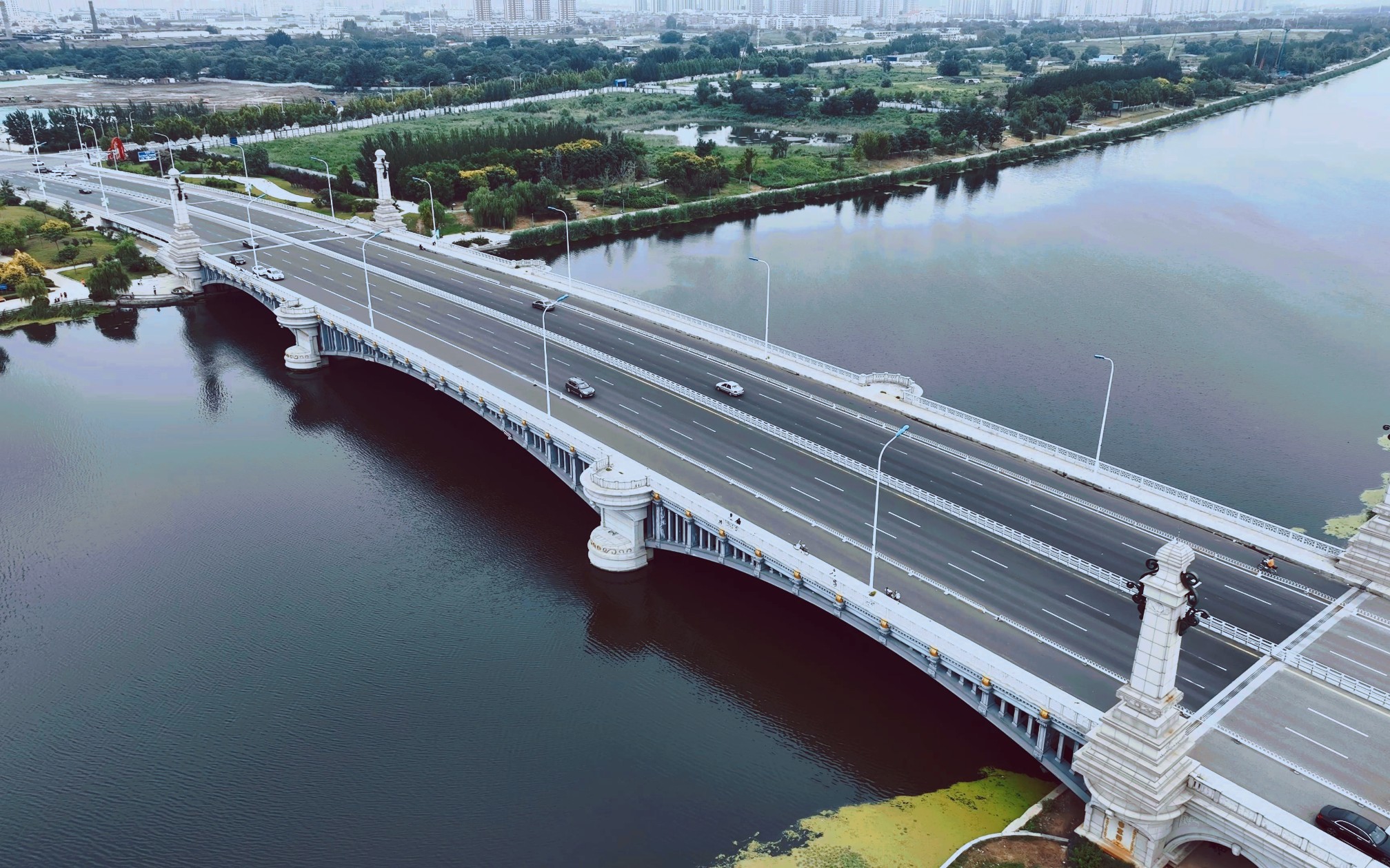 天津春意桥随拍