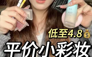 Скачать видео: 低至4.8块！！平价小彩妆分享！！