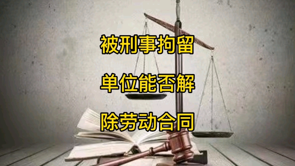 被刑事拘留单位能否解除劳动合同哔哩哔哩bilibili