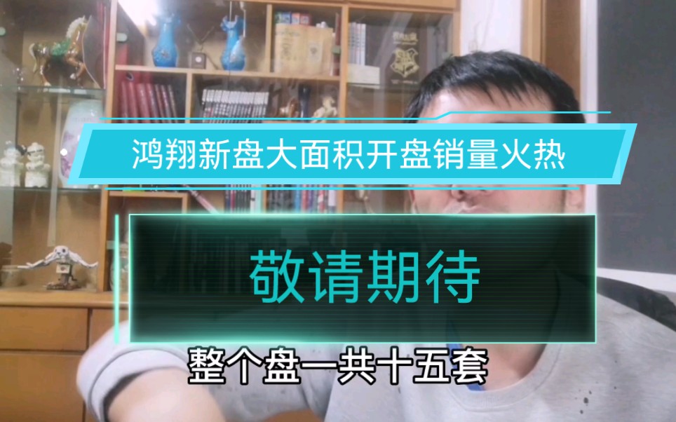 浙江嘉兴,鸿翔新盘大面积开盘销量火热,敬请期待!哔哩哔哩bilibili