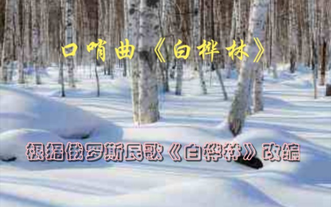 [图]口哨曲《白桦林》根据俄罗斯民歌《Березы》(白桦林)改编而成。曲调柔美，略显忧伤。