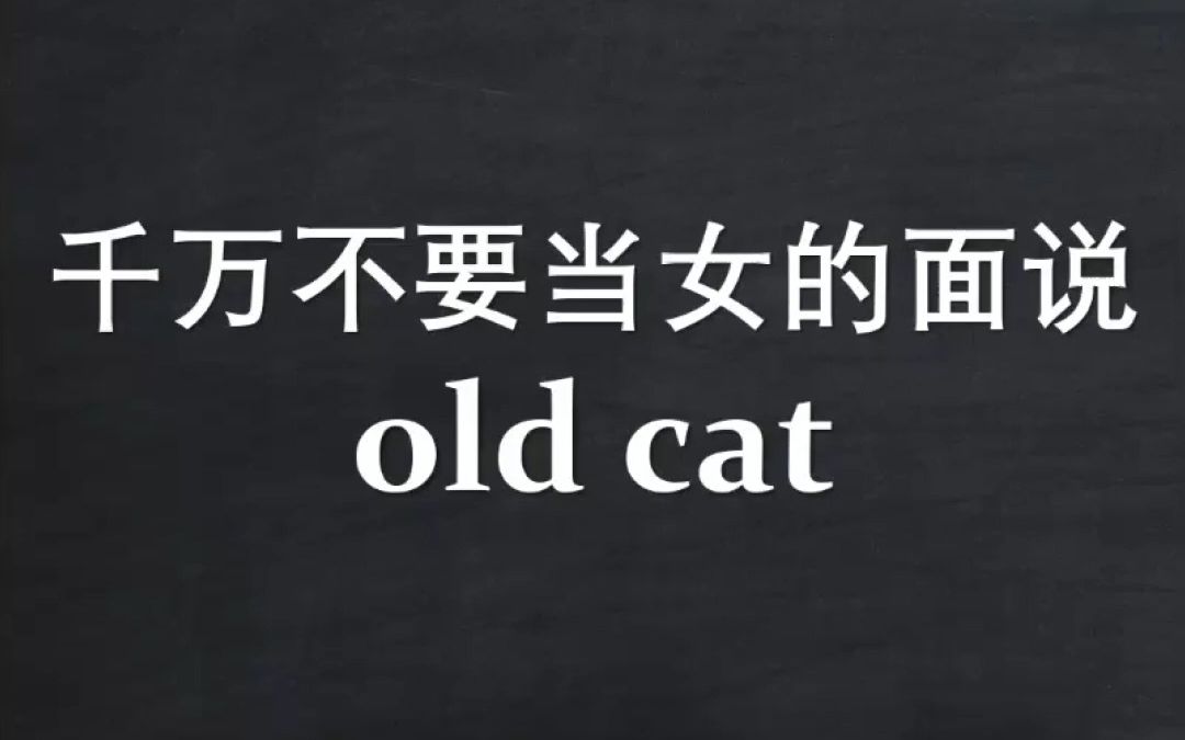 千万不要当女人面说old cat!哔哩哔哩bilibili