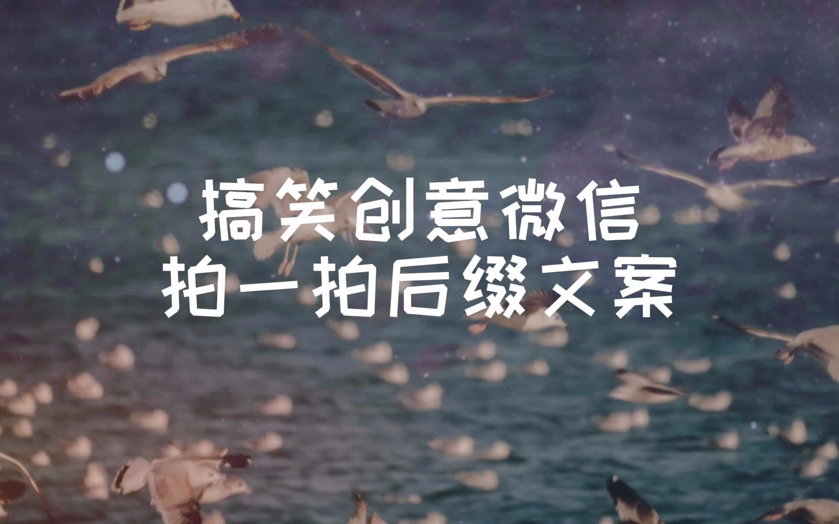 搞笑创意微信拍一拍后缀文案哔哩哔哩bilibili