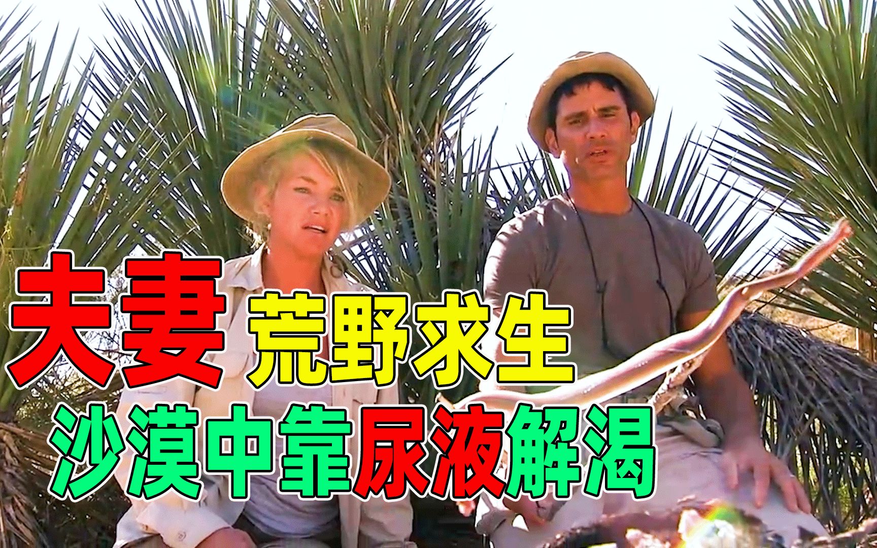夫妻档荒野求生美女沙漠缺水中暑无奈只能靠仙人掌解渴