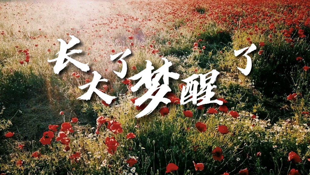 【成长】长大了,梦醒了!