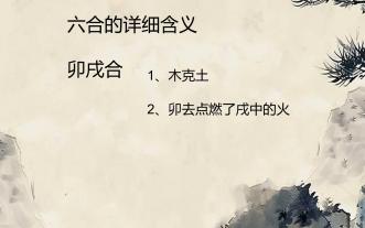 六合详解 卯戌合