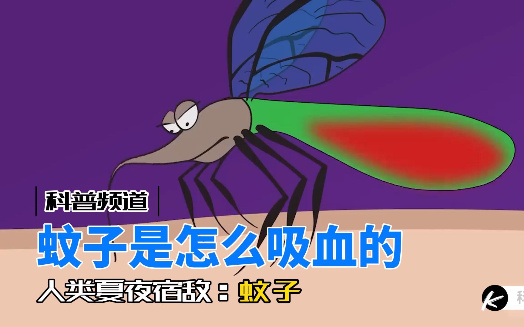 Download Video: 蚊子吸血的原理