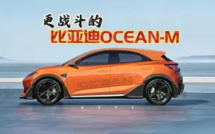 Download Video: 原车有点杀马特：比亚迪纯电钢炮ocean-m改造