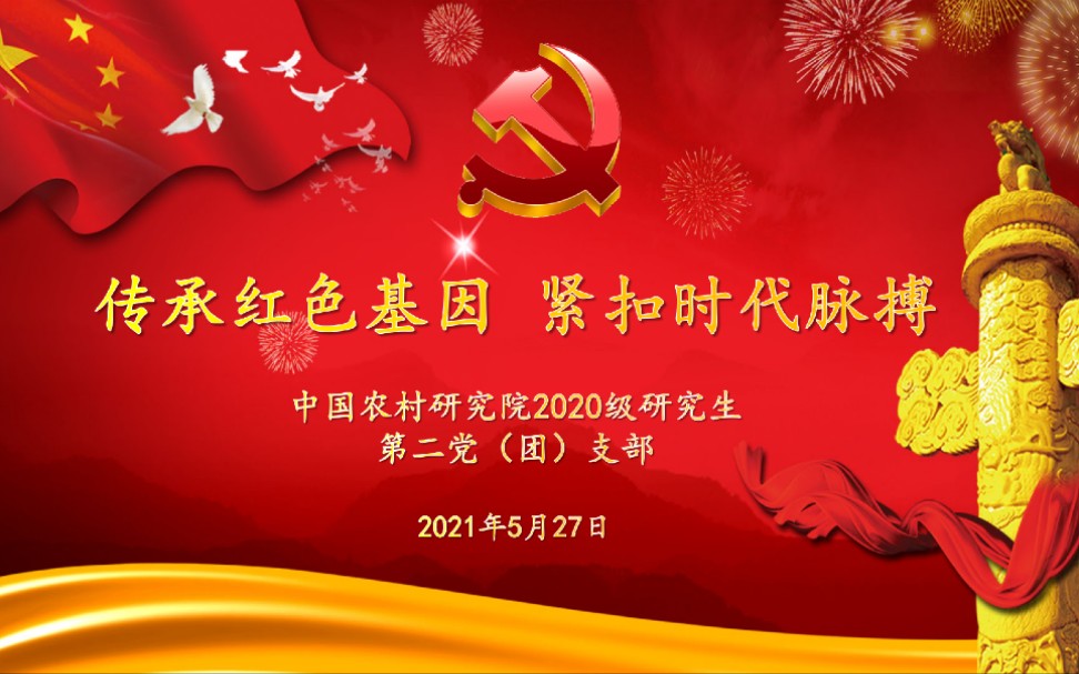 中国农村研究院2020级研究生第二党支部5月主题党(团)日活动哔哩哔哩bilibili