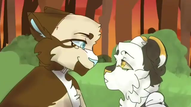 【猫武士】迅爪-if i die young_哔哩哔哩_bilibili