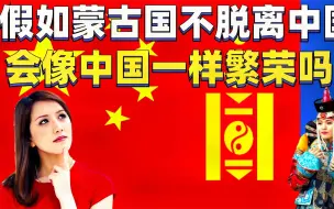 Video herunterladen: 蒙古网友：倘若我们不脱离中国的话，会不会像他们一样繁荣？