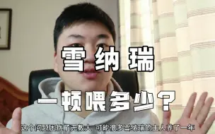 Tải video: 雪纳瑞一顿喂多少？指导方法来喽