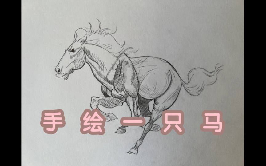【手绘/绘画过程】日常练习,随手画一只马!