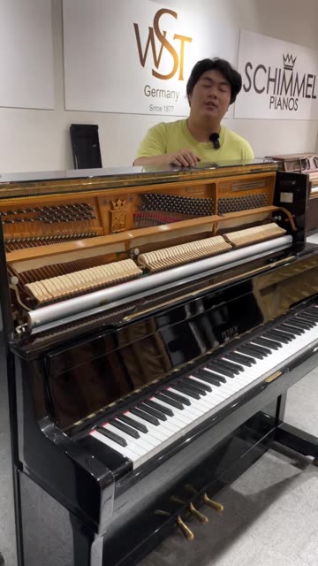 站立的三角钢琴 佩卓夫131