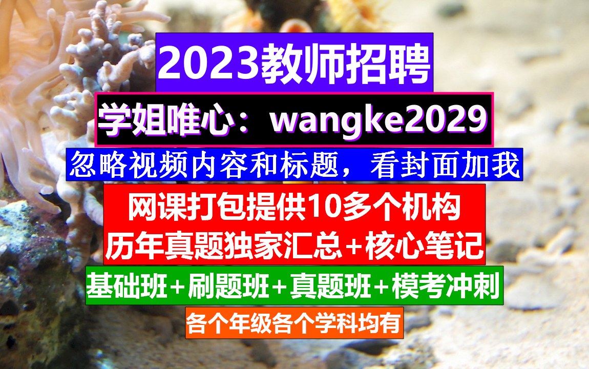 山东省教师招聘心理健康教育,教师招聘常考文学常识,教师编报考条件哔哩哔哩bilibili