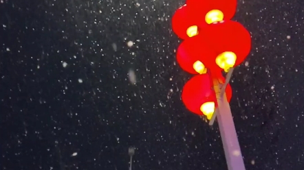 [图]下雪啦❄