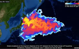 Скачать видео: 日本福岛2011年海啸初，已泄漏的核污染放射性可溶解元素铯-137扩散电脑模拟（视频介绍在置顶评论及评论里）