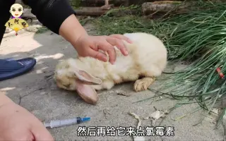 歪头治疗 搜索结果 哔哩哔哩 Bilibili