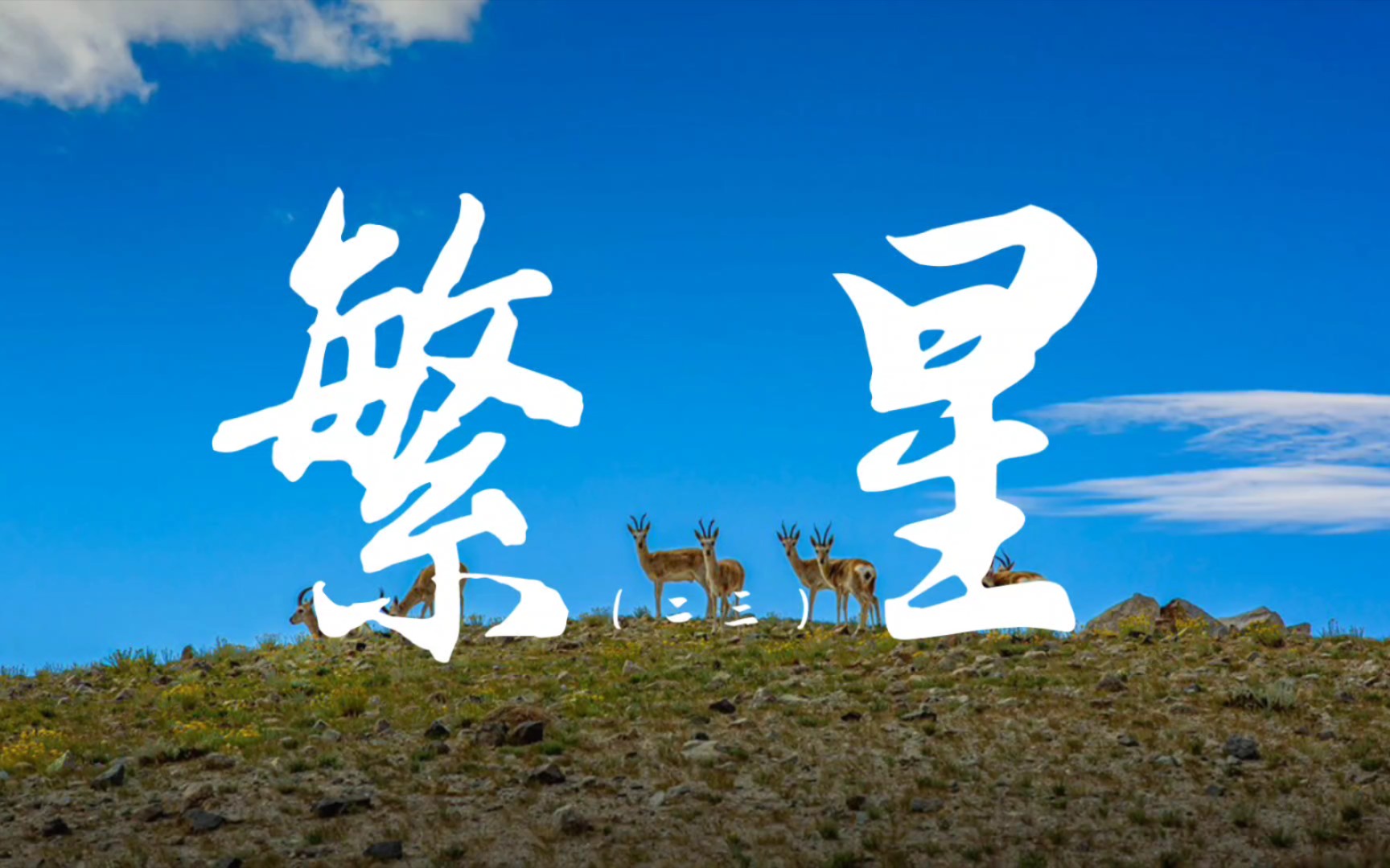 冰心诗歌:繁星(二三)