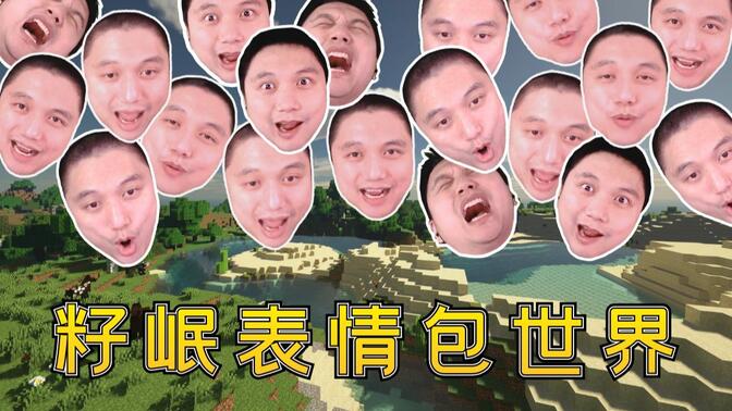 我的世界★籽岷表情包世界