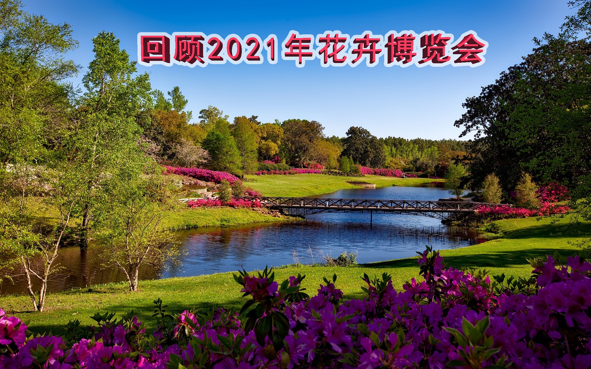2021届花卉博览会_哔哩哔哩_bilibili