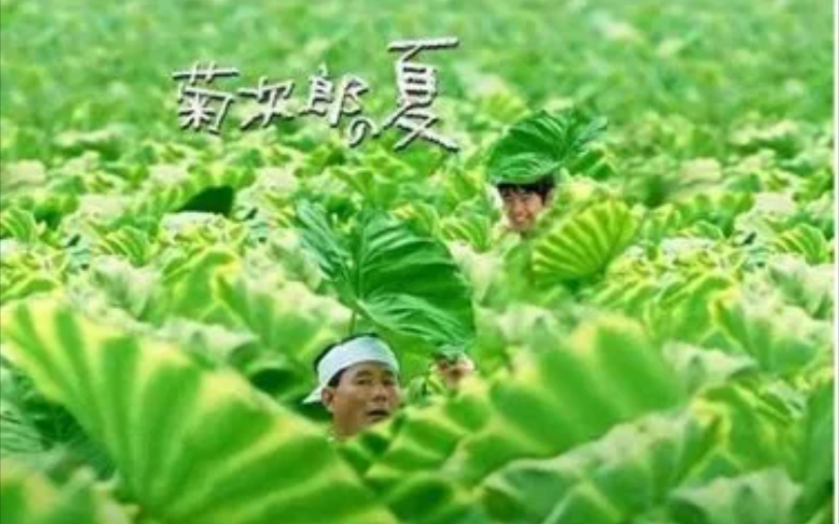 [图]« 菊 次 郎 没 挺 过 夏 天 »