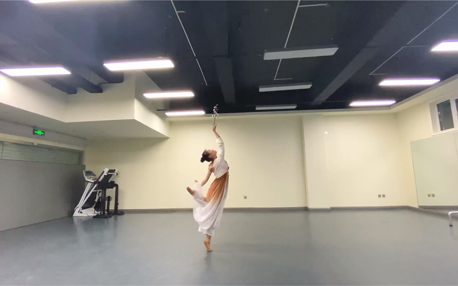 古典舞《寒依疏影》