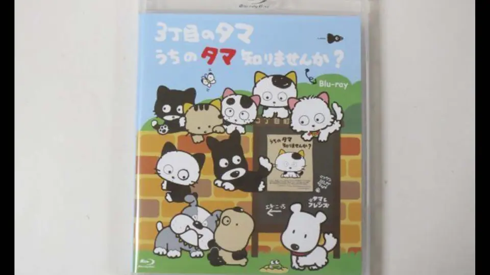 3丁目のタマ うちのタマ知りませんか？ Blu-ray 3丁目の