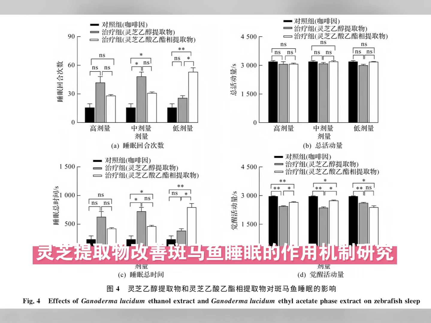 灵芝提取物改善斑马鱼睡眠的作用机制研究哔哩哔哩bilibili