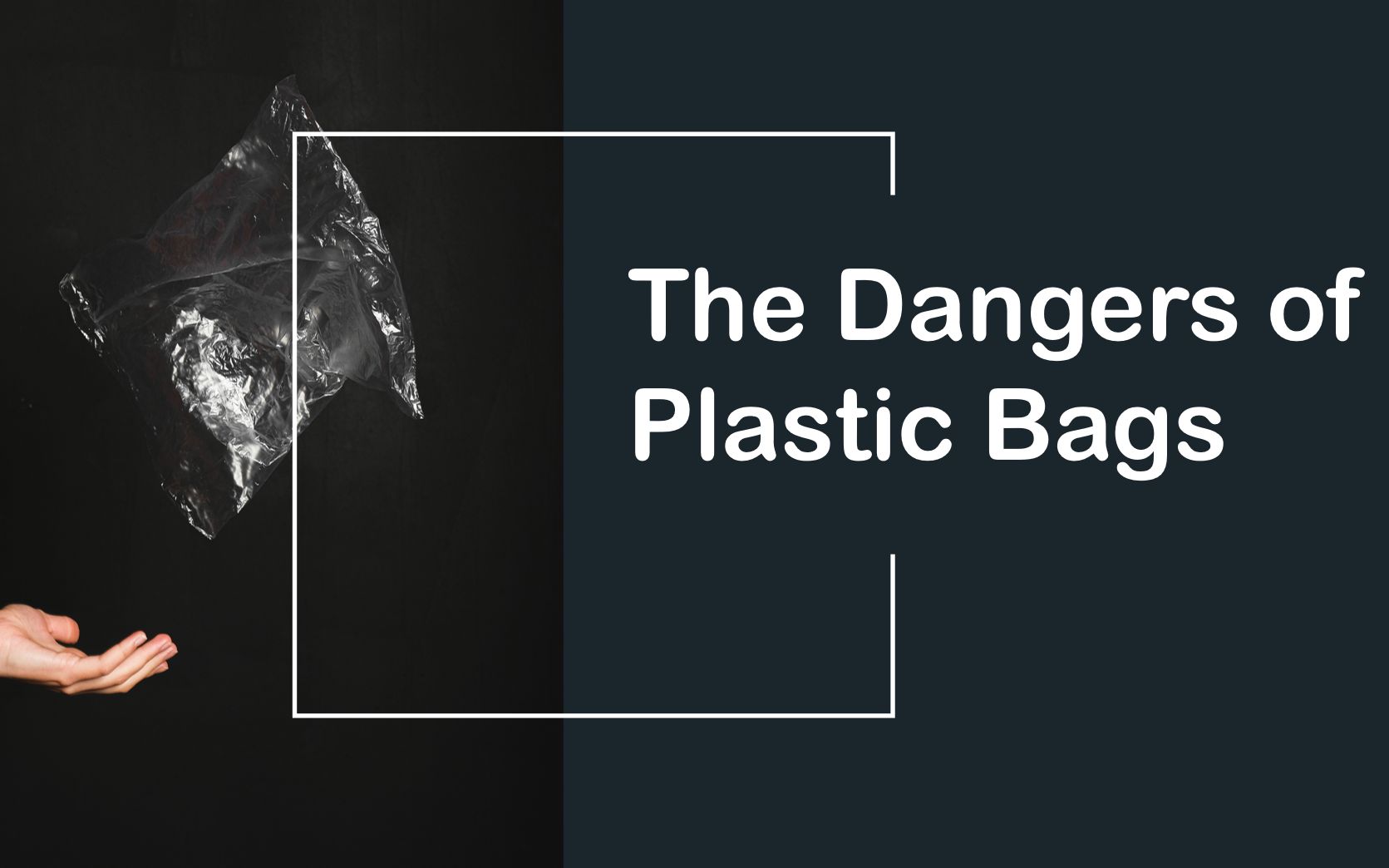 【reciting passages for 30 days】Day16 The dangers of plastic bags哔哩哔哩bilibili