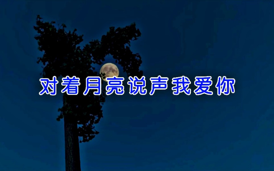 [图]2022伤感情歌，《对着月亮说声我爱你》，旋律优美太好听了