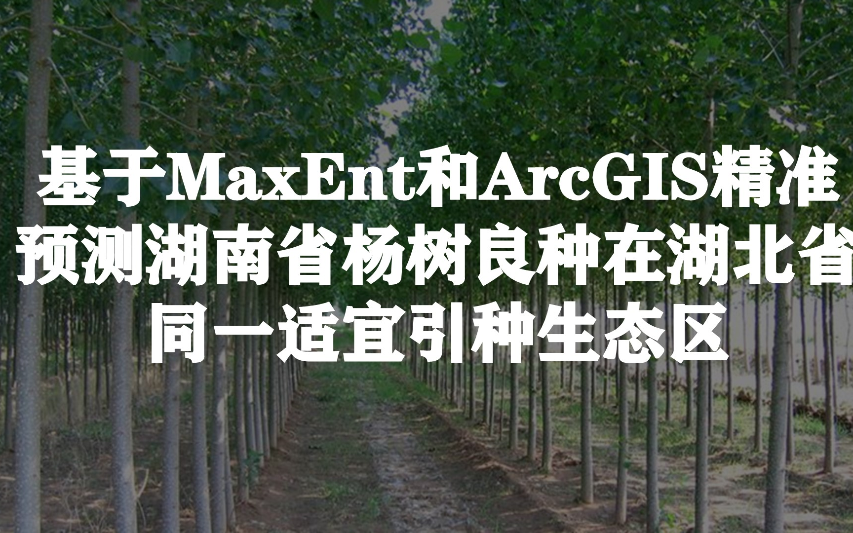 【大数据与数据分析】基于MaxEnt和ArcGIS精准预测湖南省杨树良种在湖北省同一适宜引种生态区哔哩哔哩bilibili