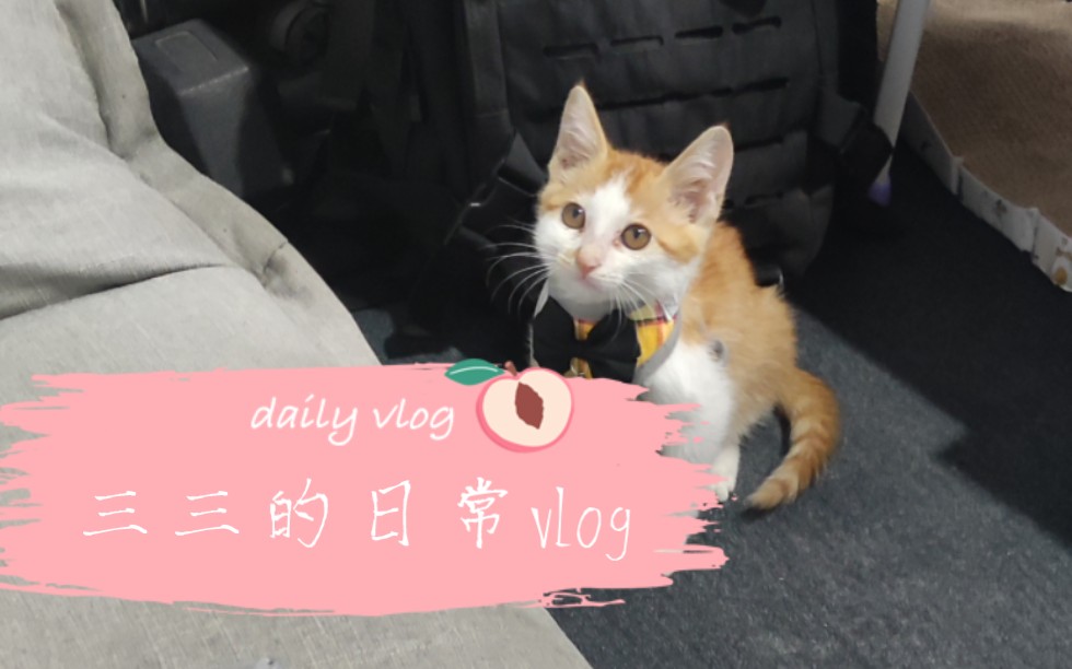 三三的日常vlog哔哩哔哩bilibili