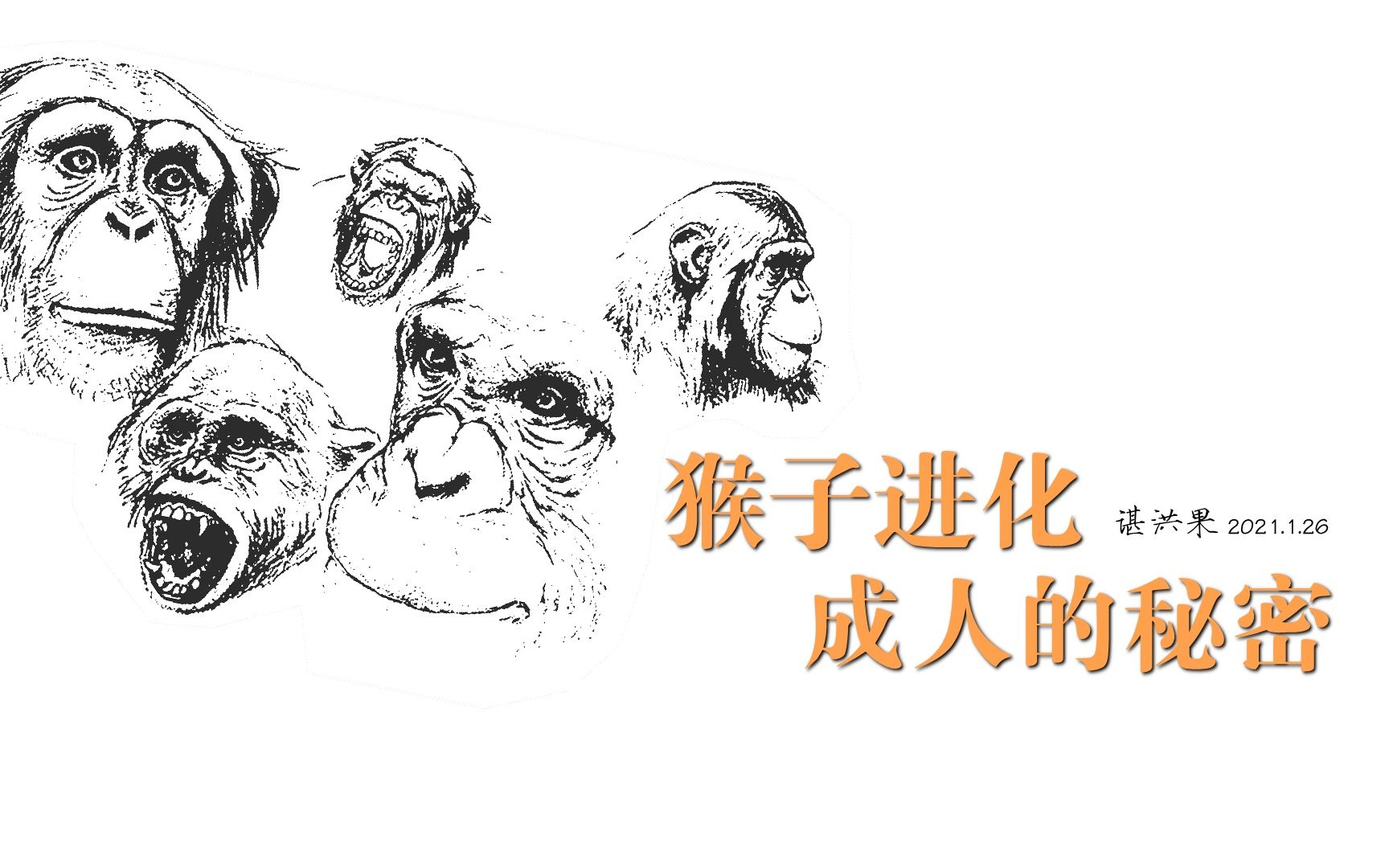 谌洪果哲思小品(25) 卡夫卡式的自由——猴子进化成人的秘密
