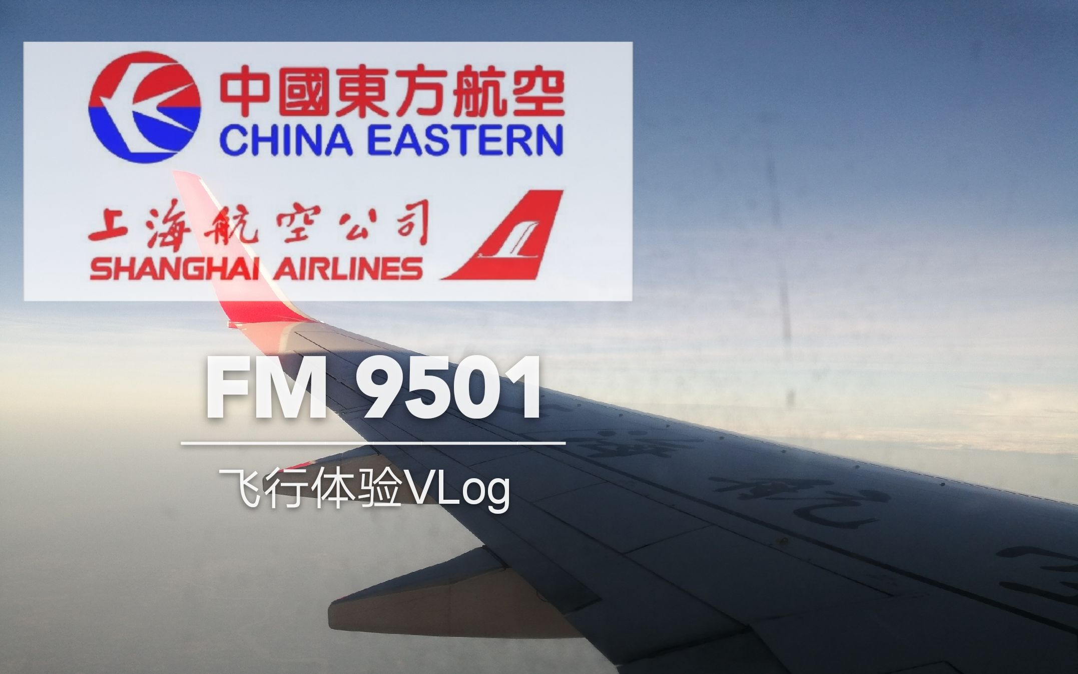 【飞行体验VLog】在台风天乘坐飞机是怎么样的一种体验? 上海航空 FM9501 上海虹桥揭阳潮汕 经济舱飞行体验哔哩哔哩bilibili