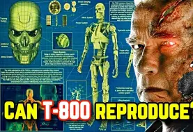 下载视频: 【终结者解剖学】T-800可以与人类繁殖吗？他们有“那个”部位吗？