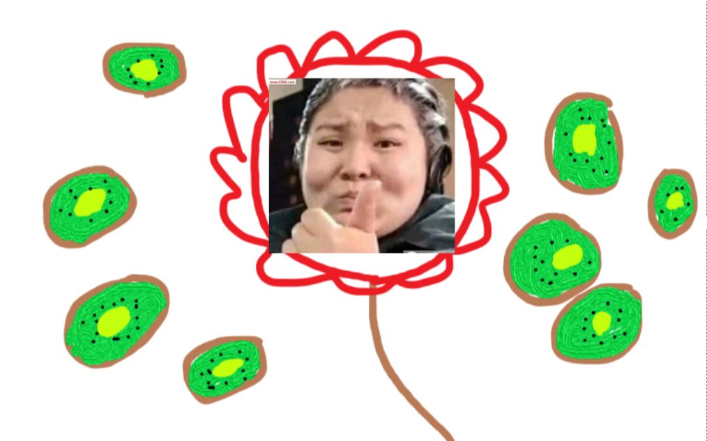 沙雕画风下郭言郭语买水果