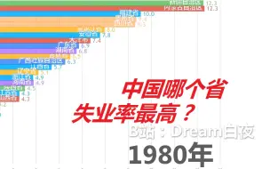 Download Video: 【数据可视化】中国哪个省失业率最高?