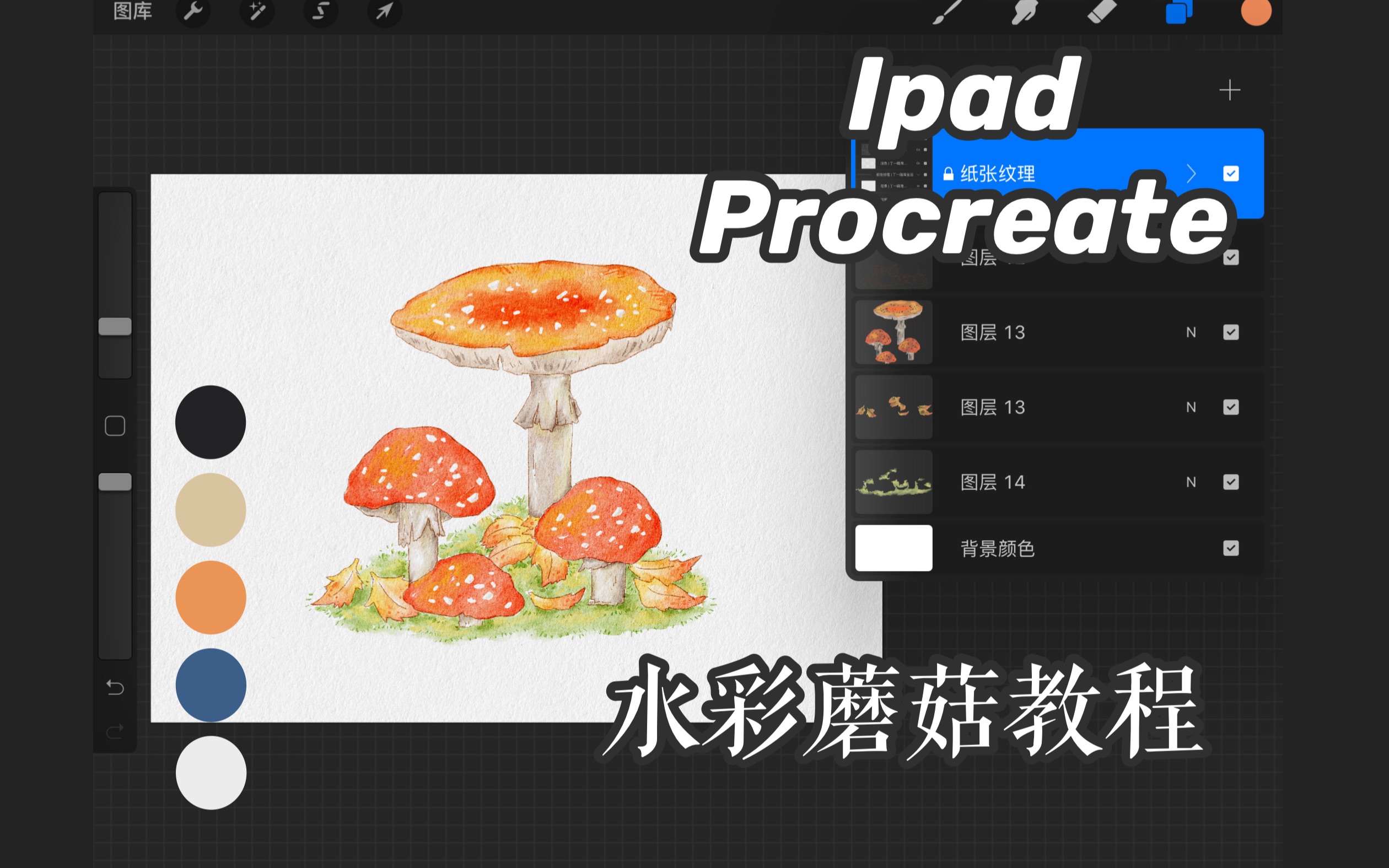 【iPad】procreate原速水彩风蘑菇手绘插画教程/新手钢笔淡彩过程哔哩哔哩bilibili