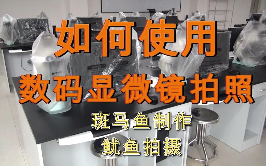 如何使用数码显微镜拍照组织切片观察医学实验入门哔哩哔哩bilibili