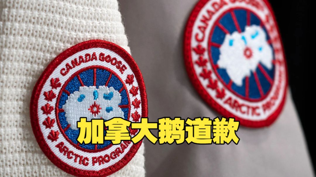 捐钱保护北极熊却乱扔垃圾？加拿大鹅就在宁波山里拍广告扔垃圾道歉 强调是“合作团队”已返回清理