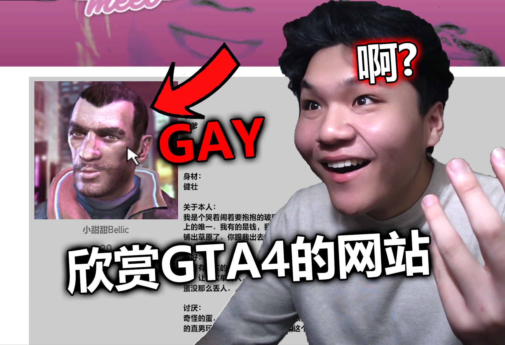 当GTA骨灰级玩家第一次看到GTA4的网站....哔哩哔哩bilibili侠盗猎车手游戏解说