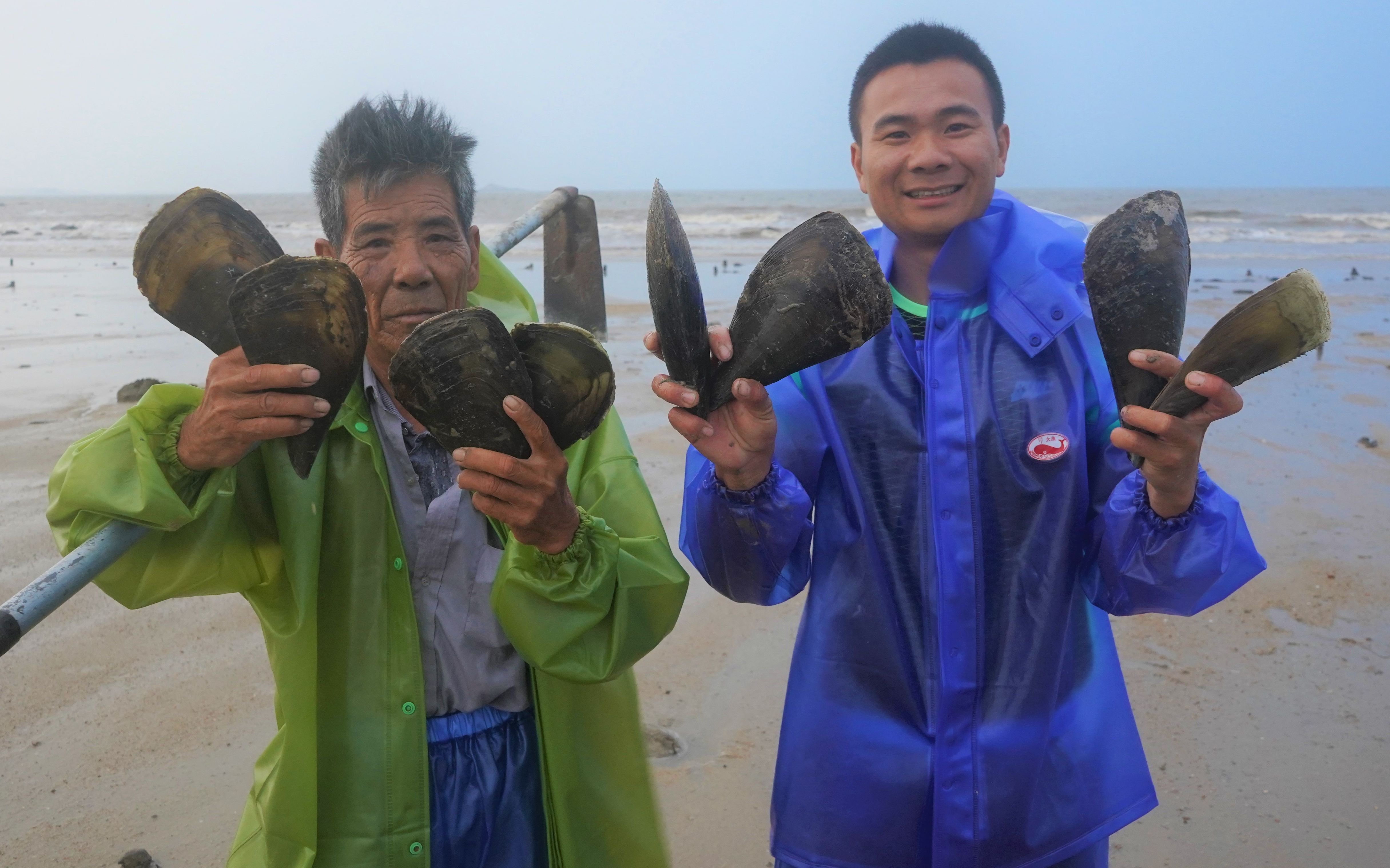 阿峰赶海图片