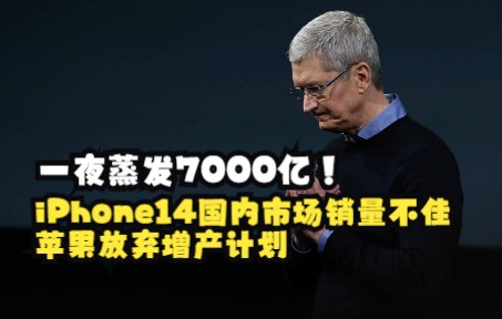 一夜蒸发7000亿!iPhone14国内市场销量不佳,苹果放弃增产计划哔哩哔哩bilibili