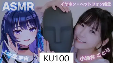 たんぽぽ様】ことりのおおきなあそびば かい