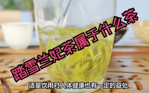 下载视频: 踏雪兰妃茶属于什么茶